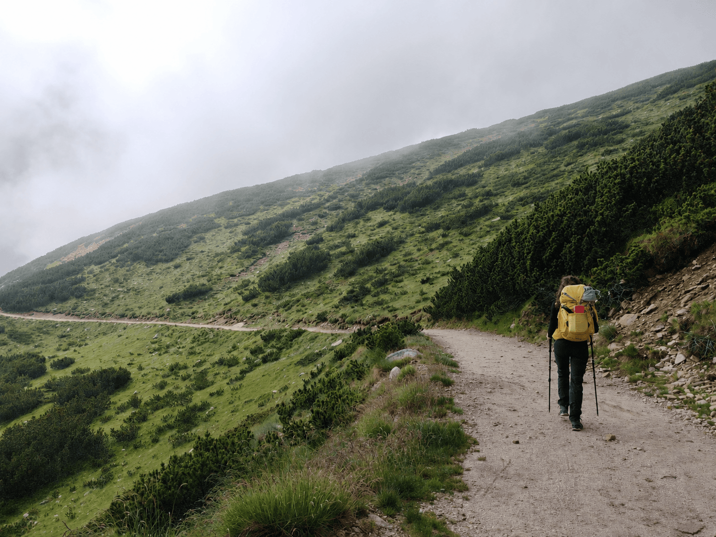 A hiker following a winding path across a misty green mountainside